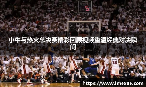 小牛与热火总决赛精彩回顾视频重温经典对决瞬间