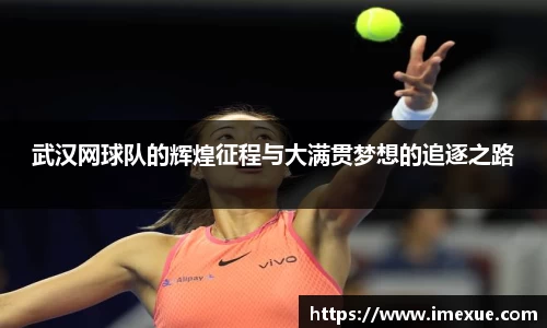 武汉网球队的辉煌征程与大满贯梦想的追逐之路